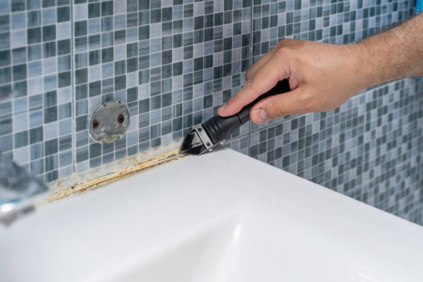 Best Attic Mold Removal  in Elmwood, LA